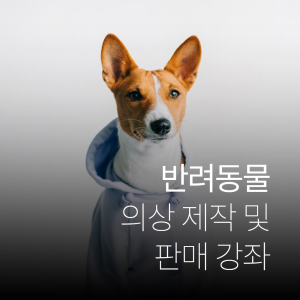 반려동물 의상 제작 및 판매